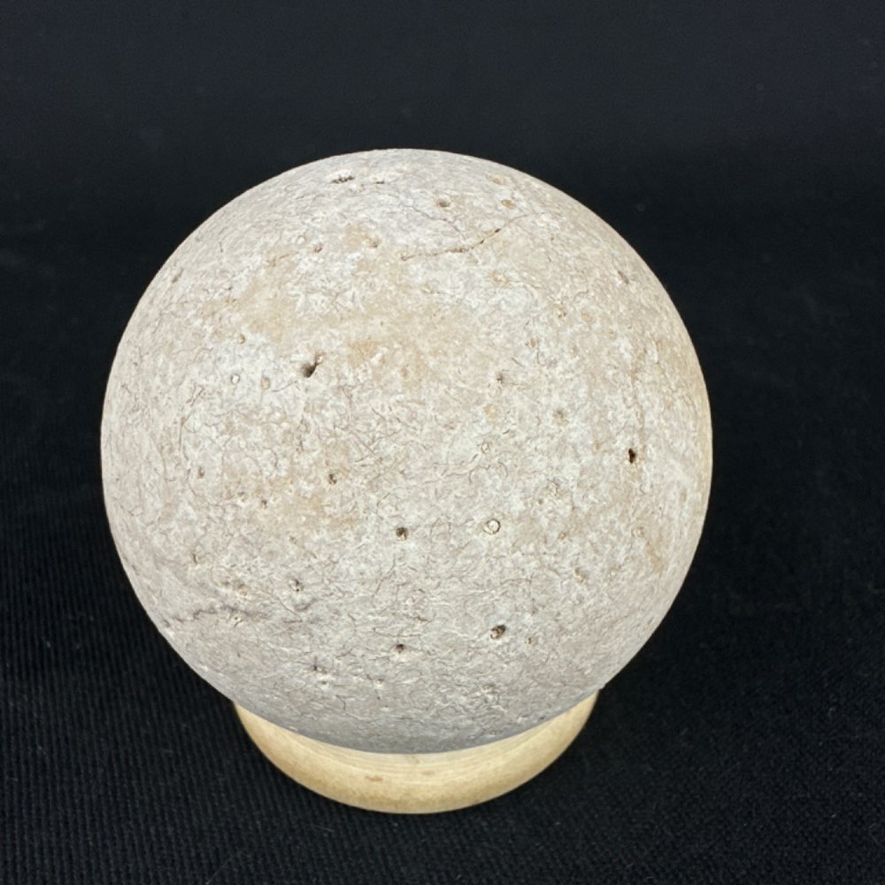 A rare extinct turtle fossil egg (Aldabrachelys abrupta) from Madagascar