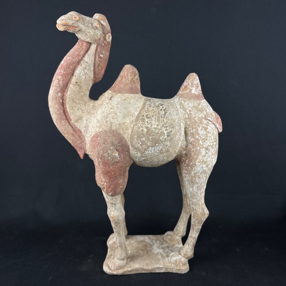 Camel of terracotta from the Tang Dynasty (618-907 AD), TL tested