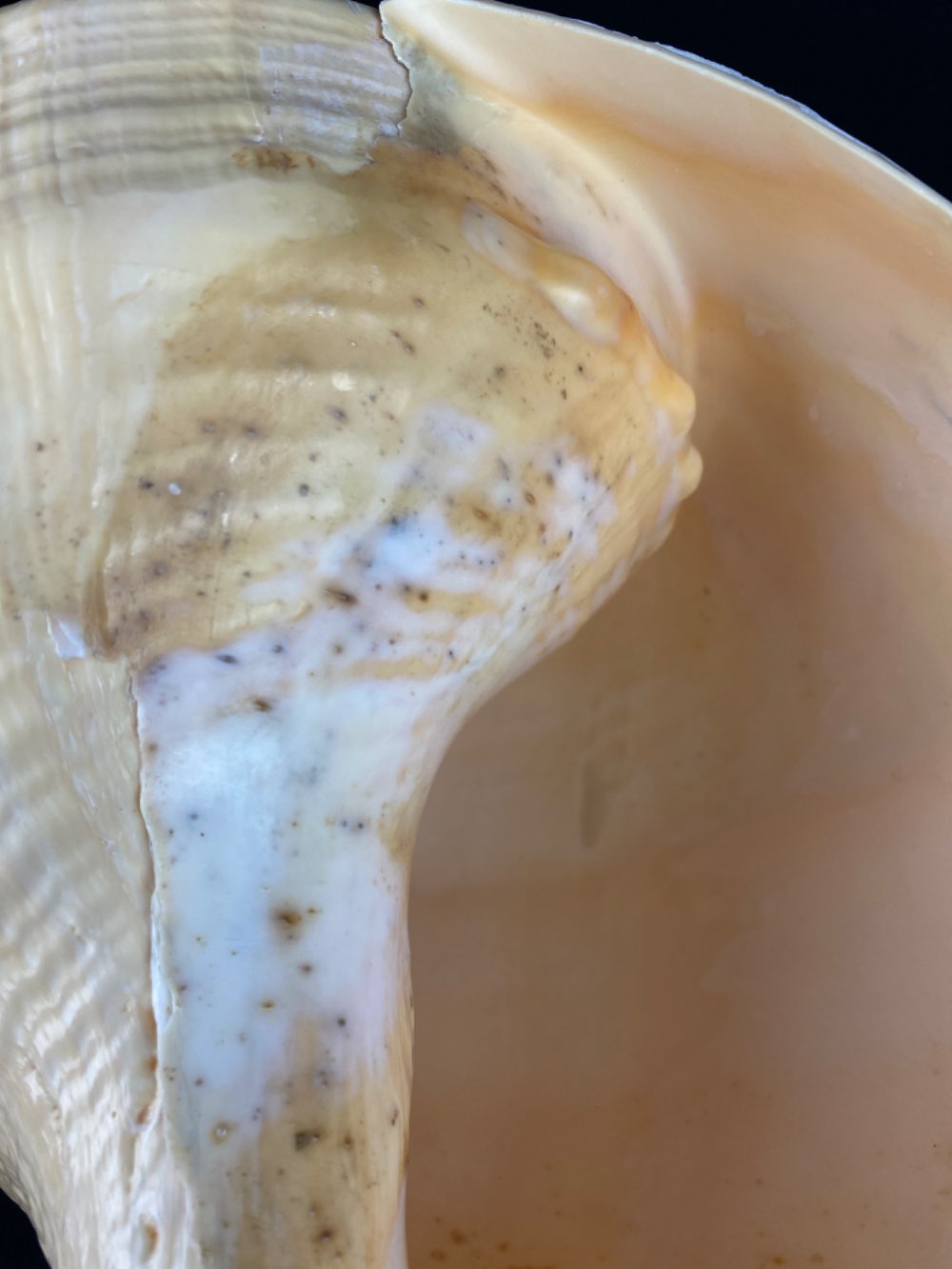 Productpage - Galerie Tjitra