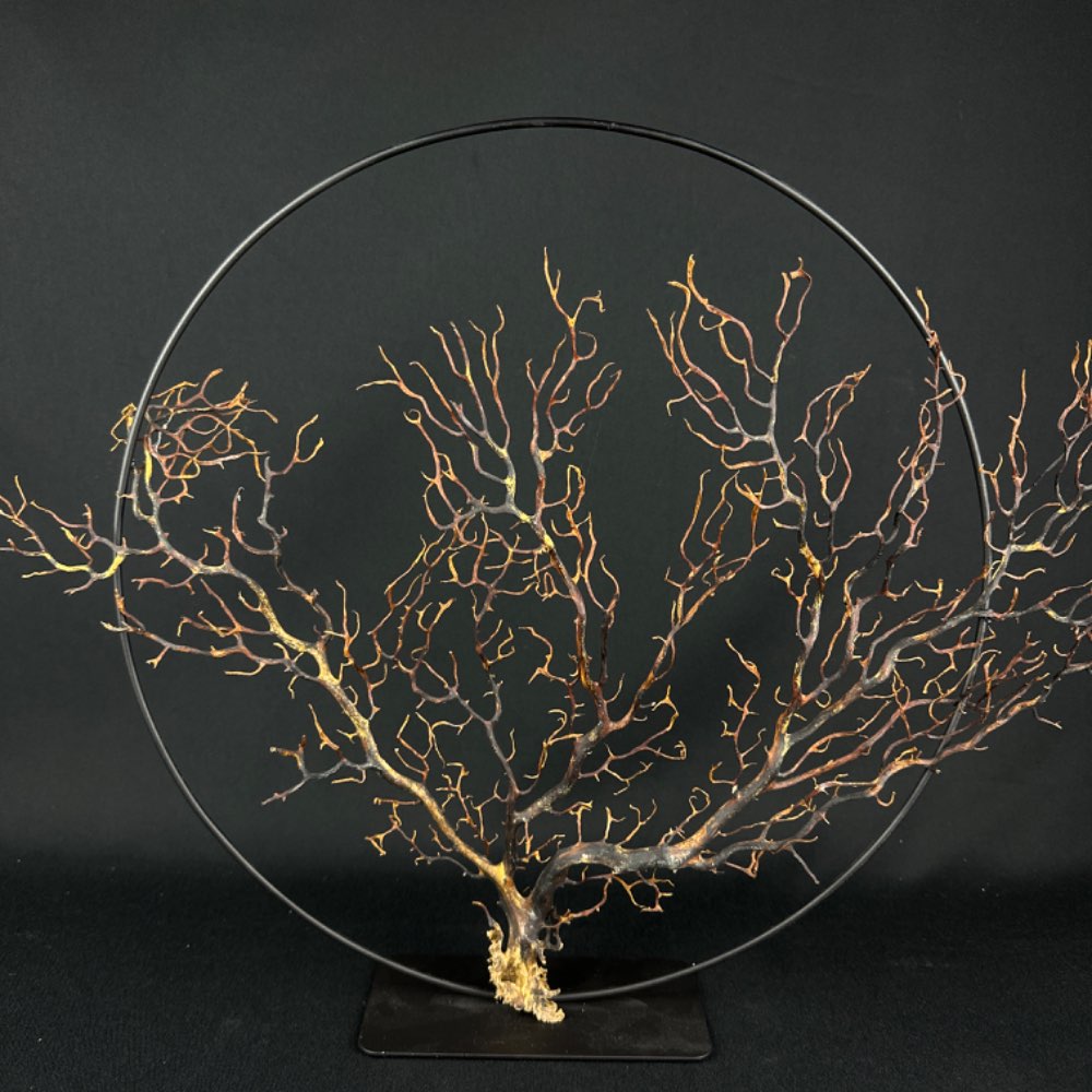 Sea fan Gorgonian from the Indian Ocean on ring stand